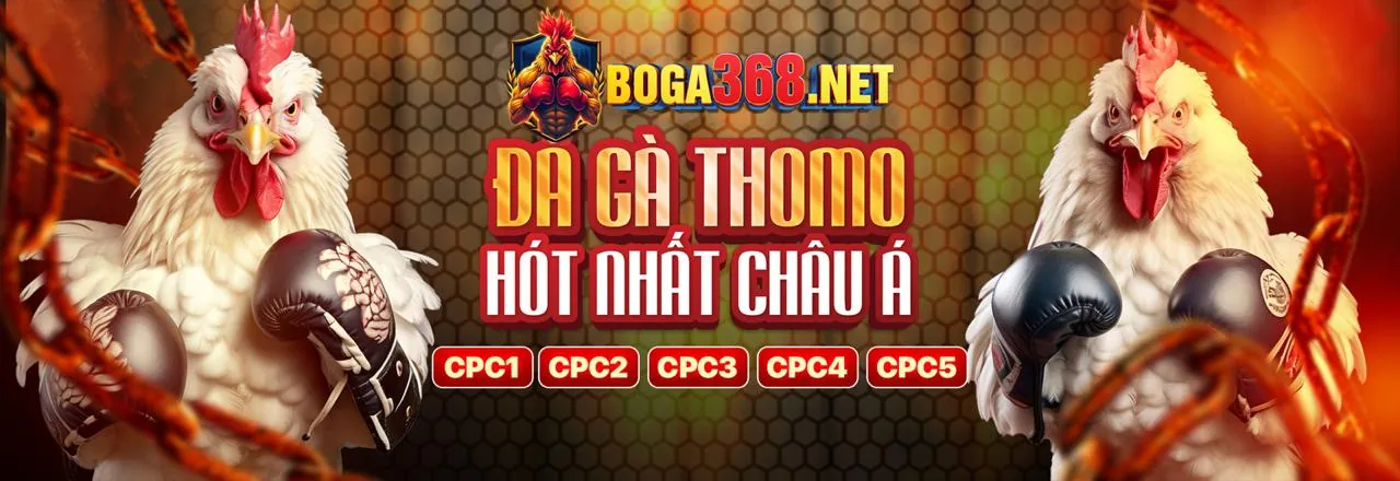 Tổng quan thị trường cá cược trực tuyến Việt Nam và vị thế của PK789