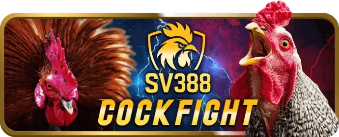 Dịch Vụ Chăm Sóc Khách Hàng Ưu Tiên 24/7